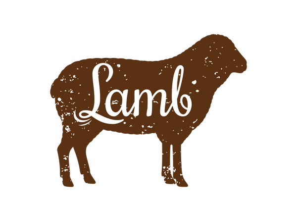 Lamb